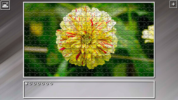 Super Jigsaw Puzzle: Generations - Flowers 2