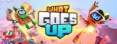 What Goes Up