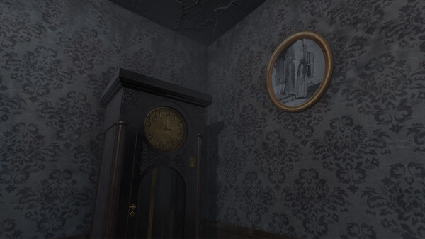 Shadowed Descentfor windows and Linux 1