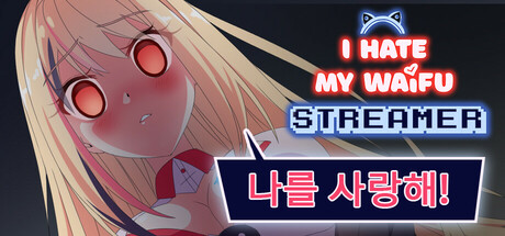 내 와이프 스트리머가 싫어