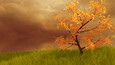 Screenshot #1