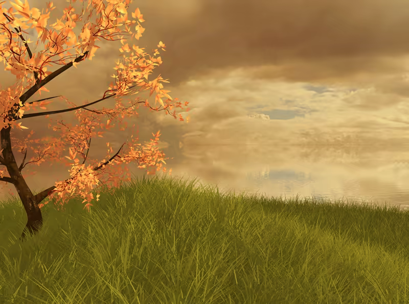 The Lonely Tree screenshot 1