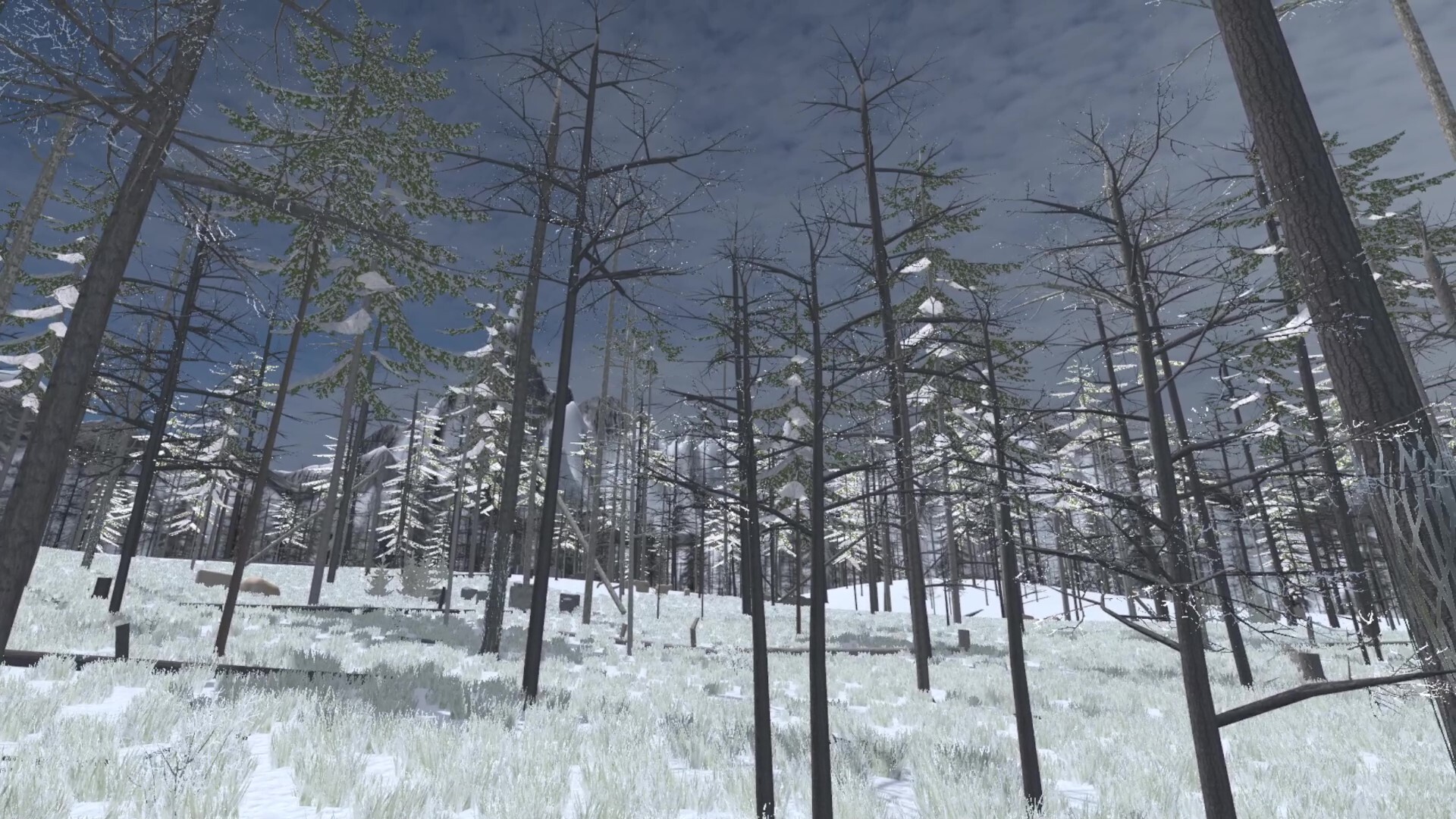 Forest Construction VR screenshot #1