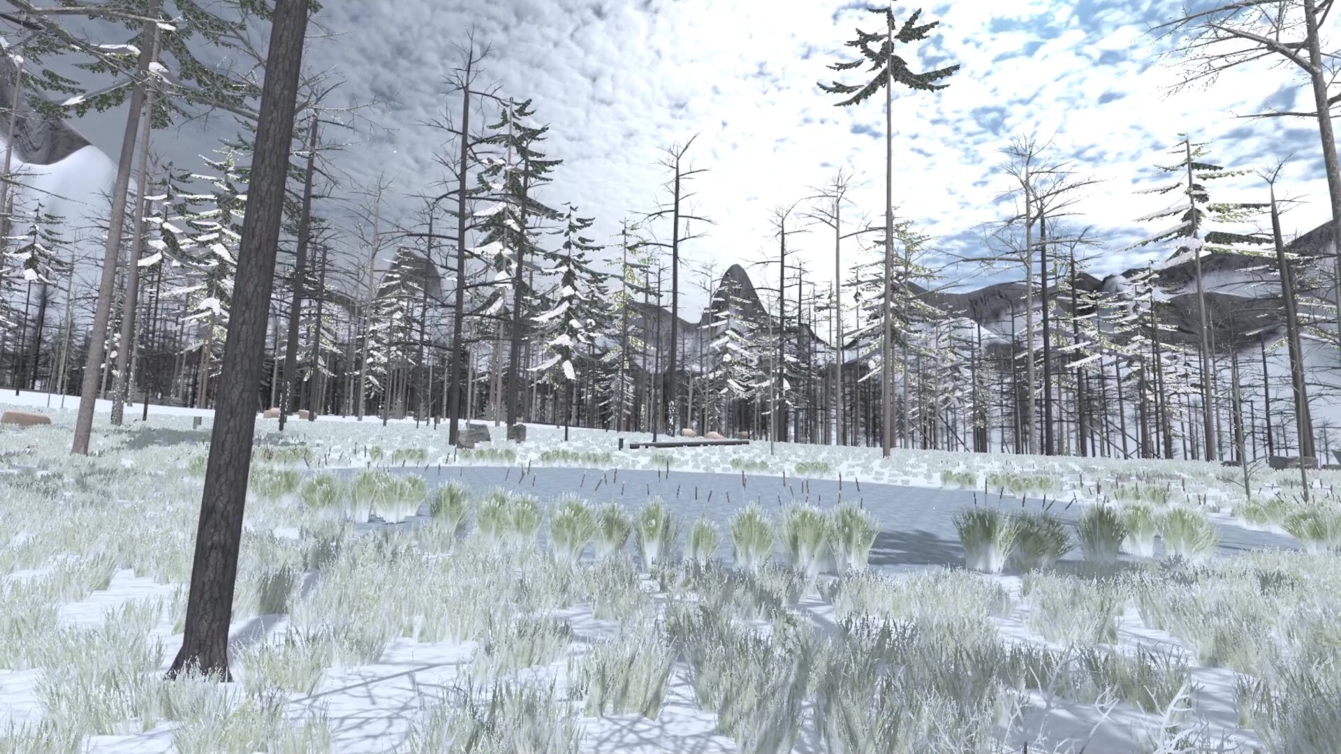 Forest Construction VR screenshot 15