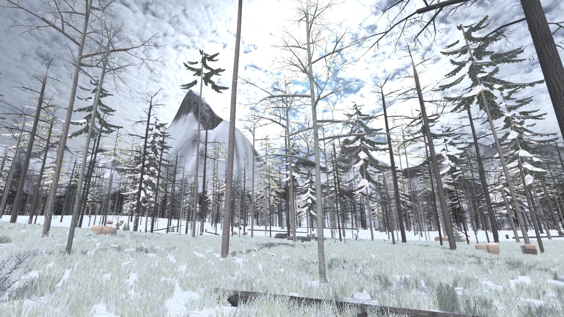 Forest Construction VR screenshot 12