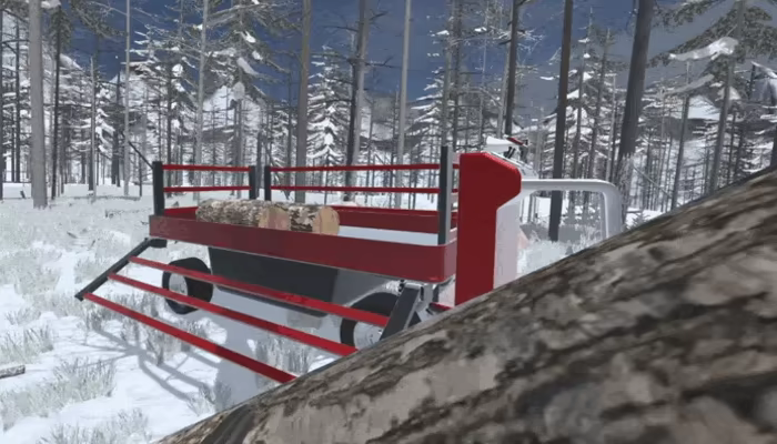 Forest Construction VR video 4