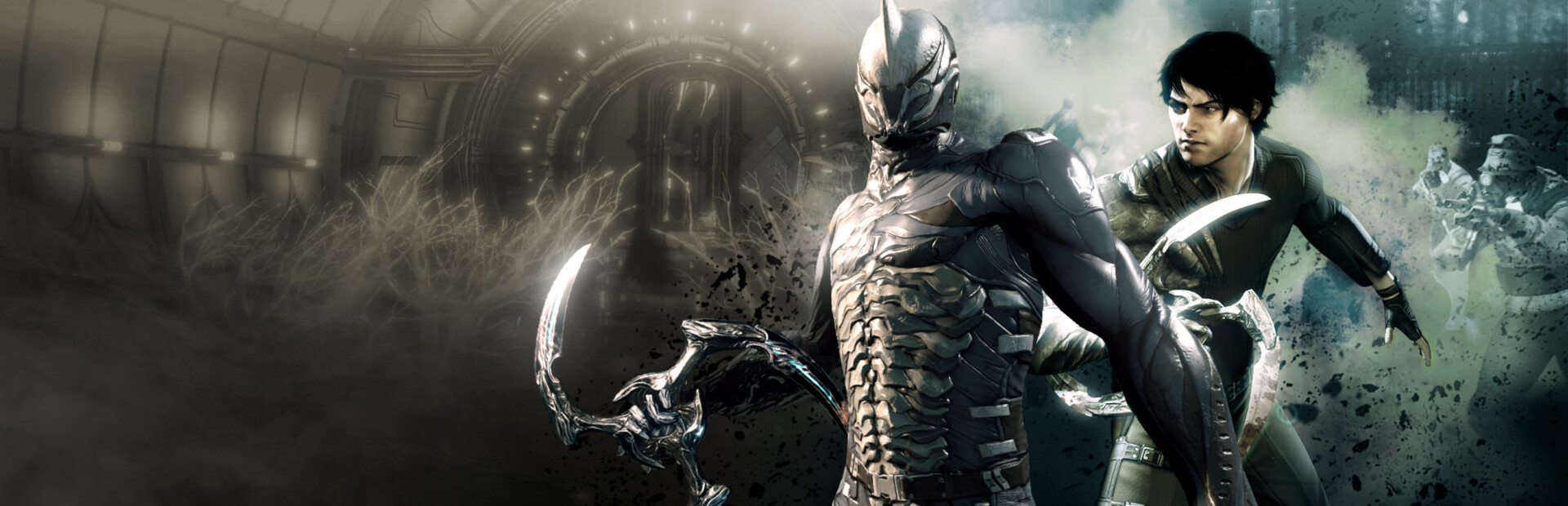 Dark Sector