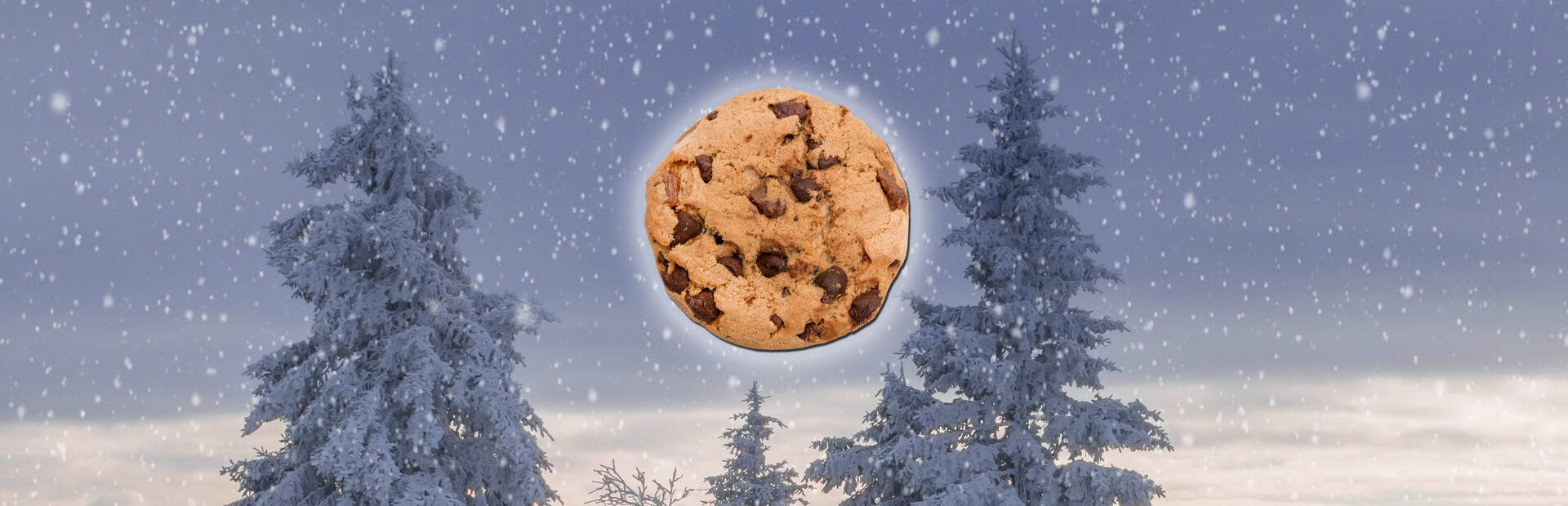 I Did It ALL for the COOKIE!