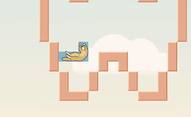 Catopy video 2