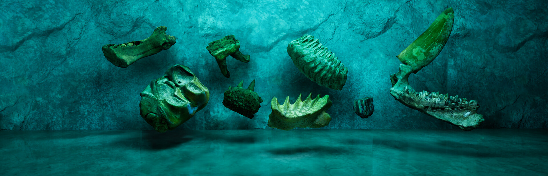 SHADOWBOX: Mausoleum of Natural History