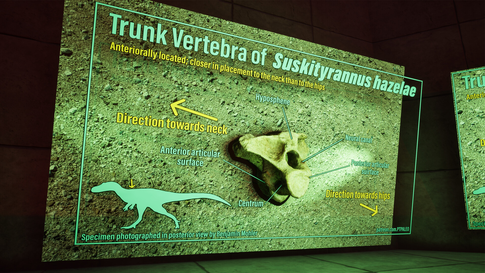 SHADOWBOX: Mausoleum of Natural History screenshot 5