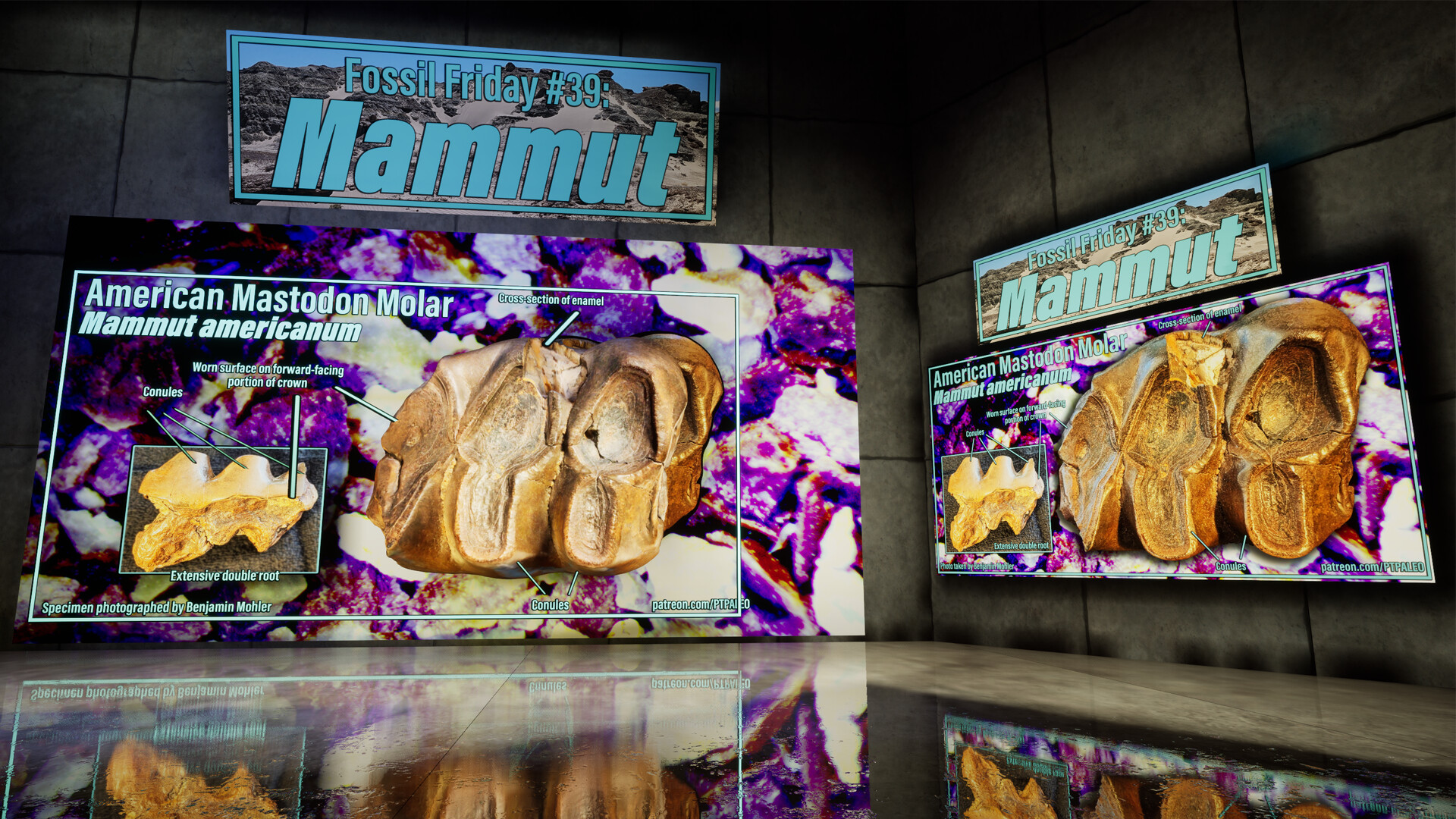 SHADOWBOX: Mausoleum of Natural History screenshot 2