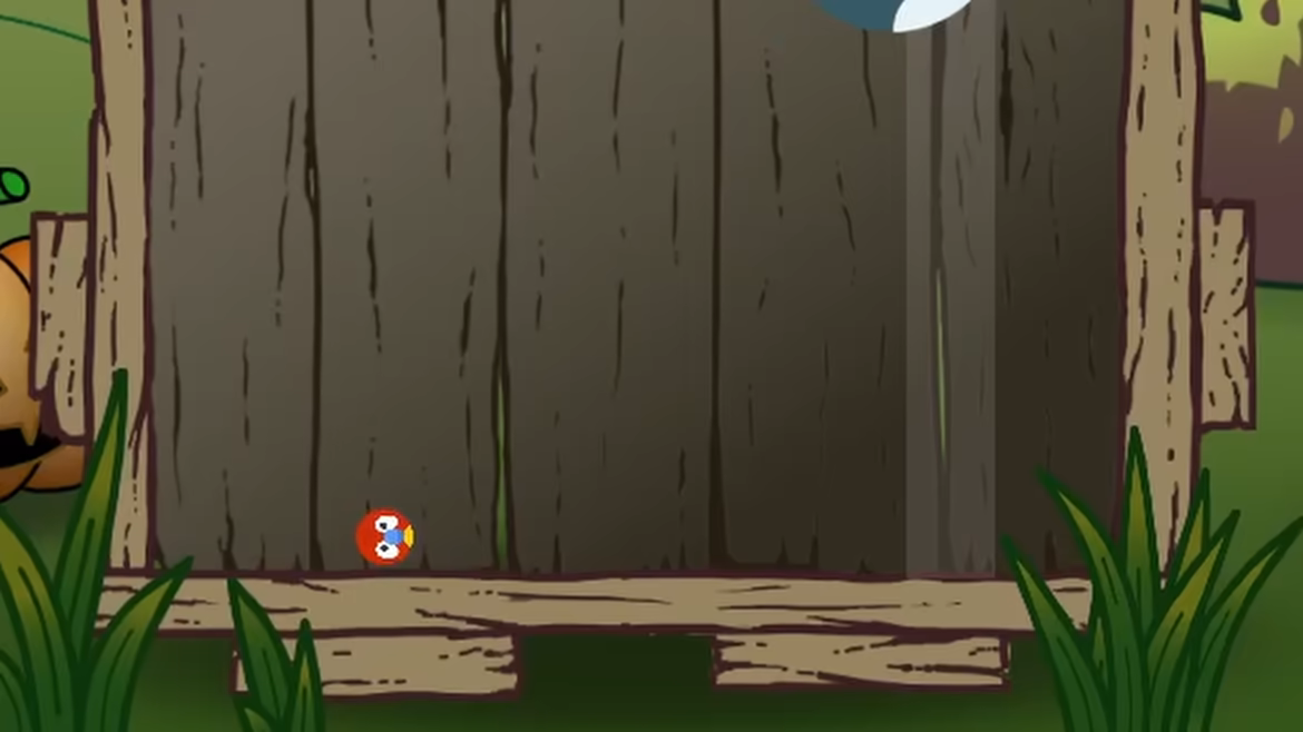 Zooika video 1