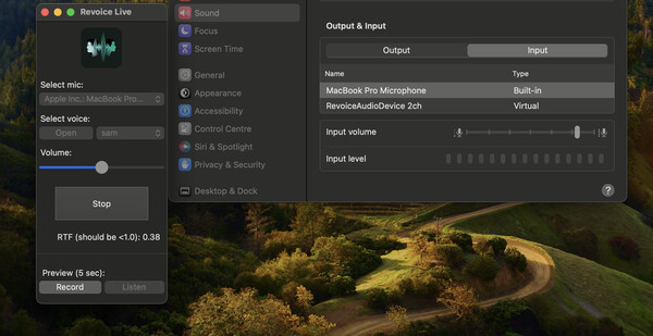 Скриншот из RevoiceLive