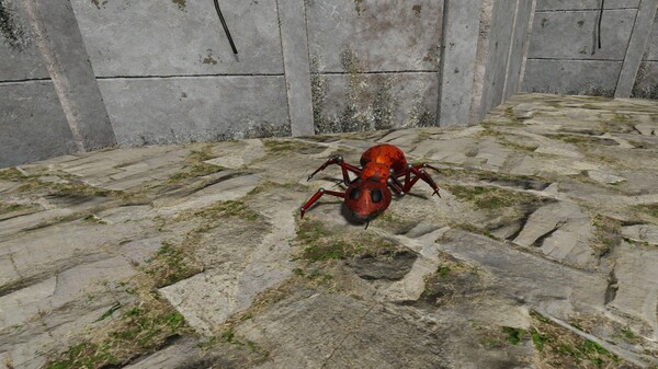 MAX Robotic Critters