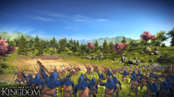 Total War Battles: KINGDOM screenshot 13