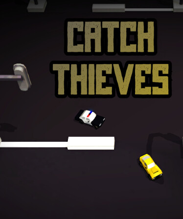 Catch Thieves