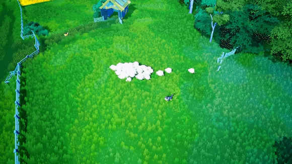 Sheepherds! video 2