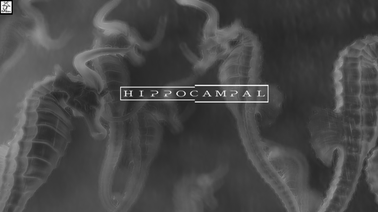 Hippocampal: The White Sofa screenshot #5
