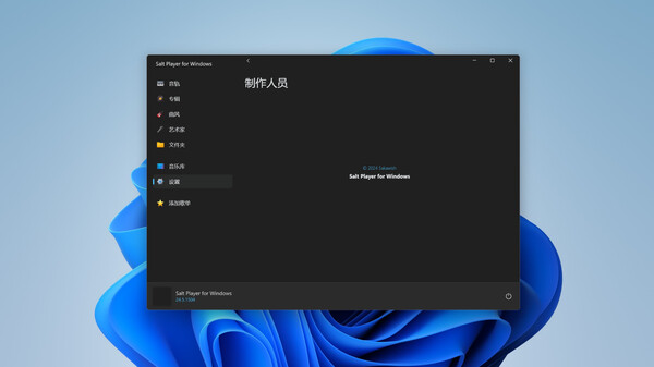 Salt Player for Windowsfor windows and Linux 1