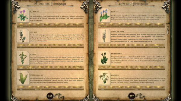 Two Worlds Strategy Guide