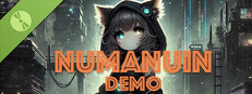 NUMANUIN Demo