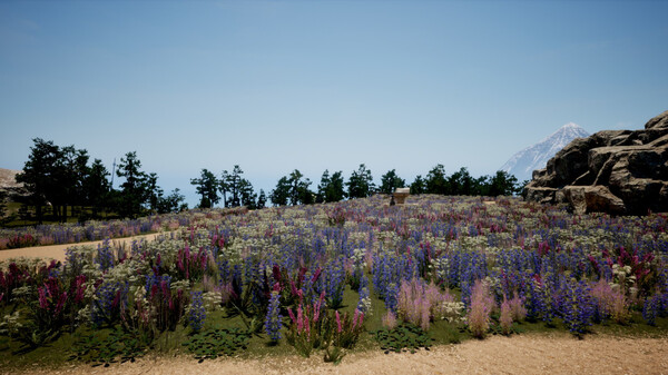 Arbor Island screenshot 5