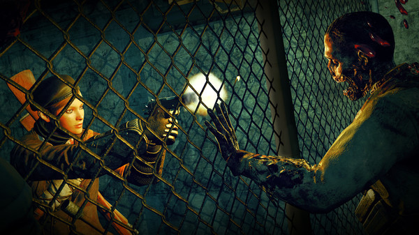 Thumbnail 19