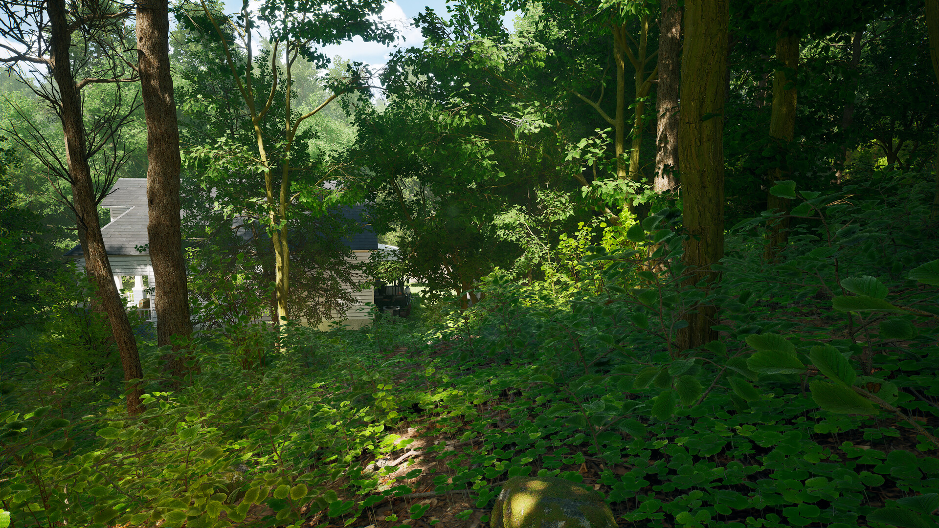 Nightwalk Simulator screenshot #2