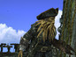 Screenshot #3