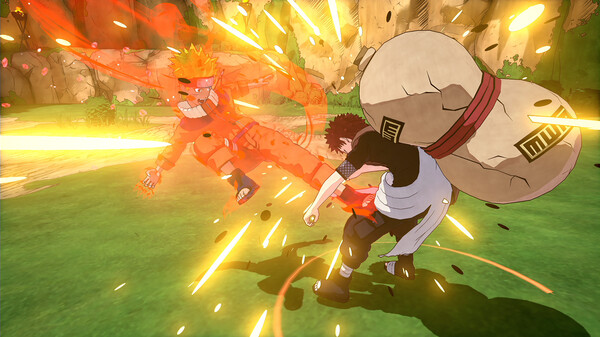 screenshot9