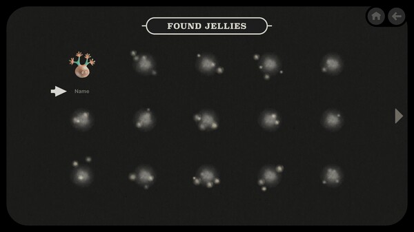 Jellies of the Deep.