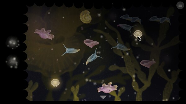 Jellies of the Deep.