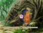 Screenshot #1