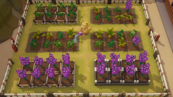 Pao Pao screenshot 3