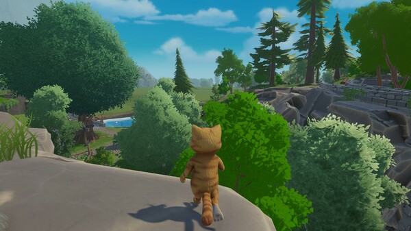 Thumbnail 0
