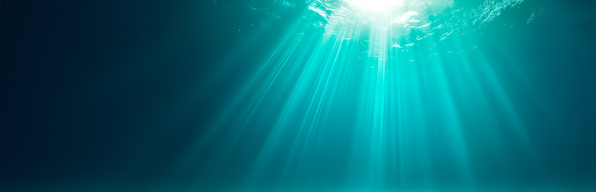 Black Submarine: deep seek