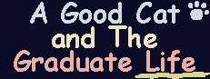 A Good Cat and The Graduate Life