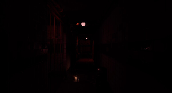 DIED game for Linux 1