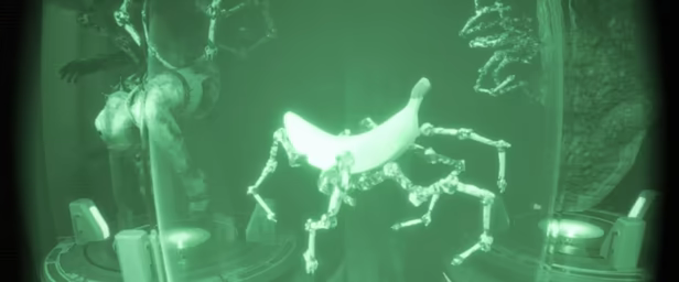 UNDERWARD video 9