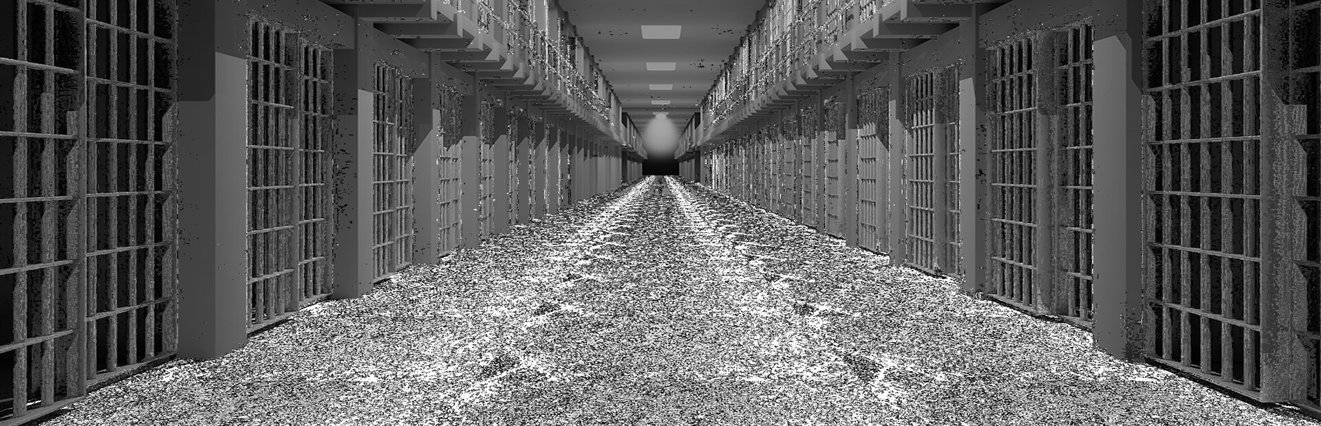 Prison Puzzle