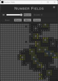 Number Fields