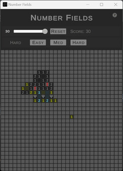 Number Fields