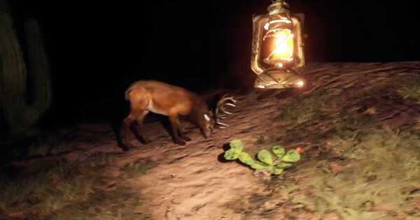 The Curse of Town screenshot 4