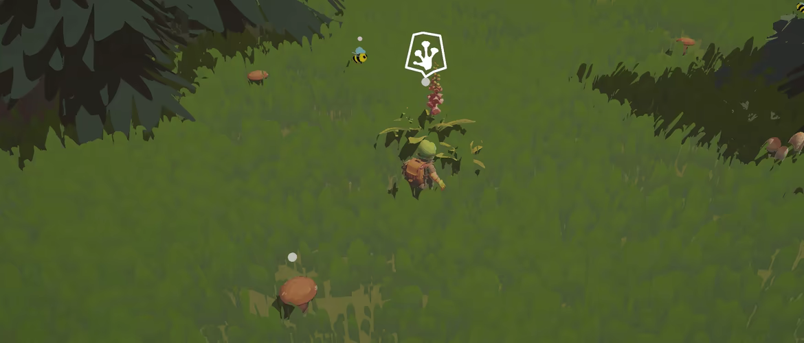 Frog Holm video 3