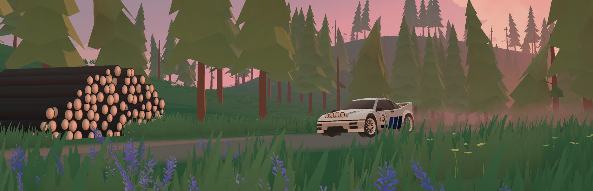 N3Rally