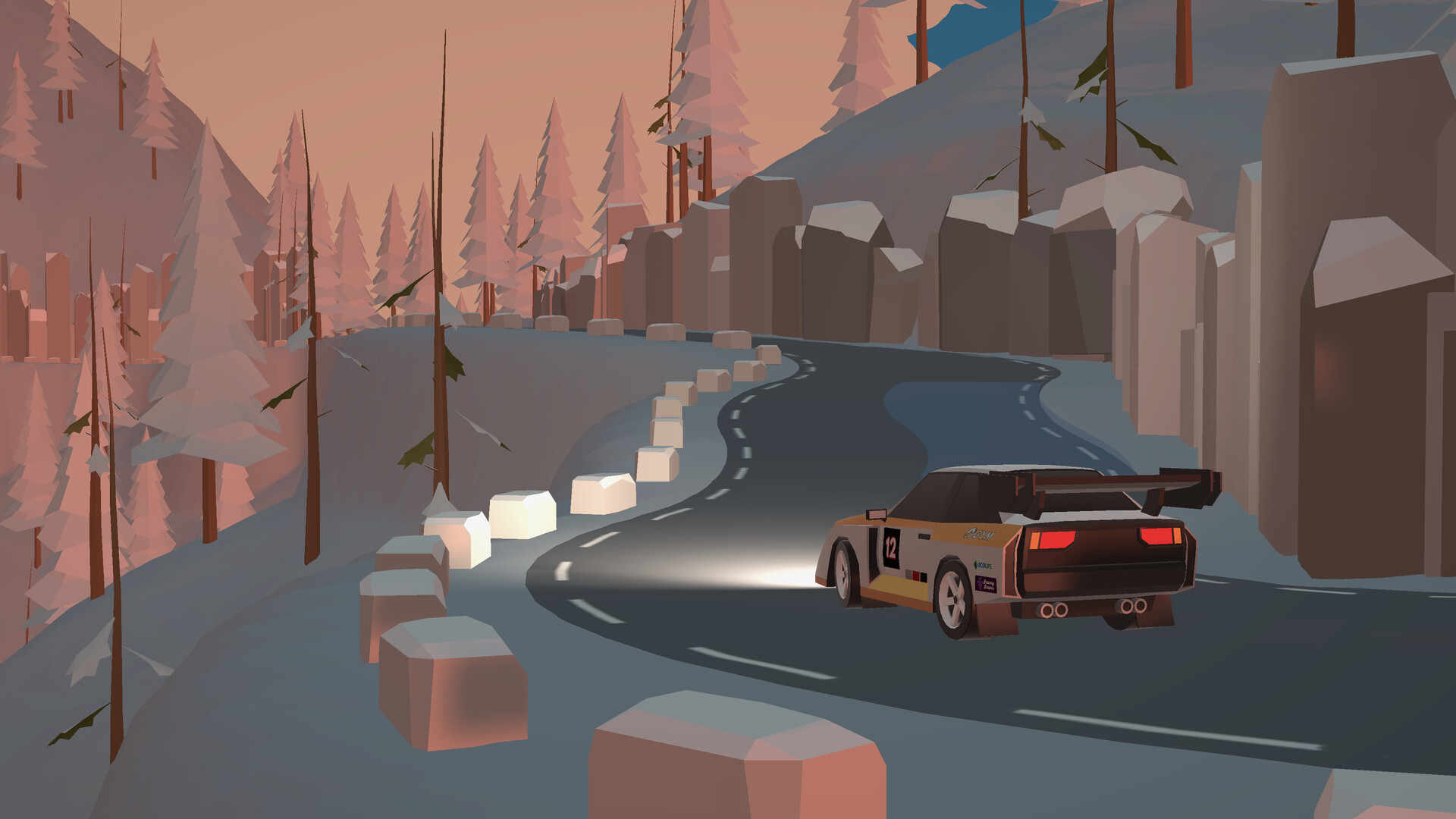 N3Rally screenshot 3