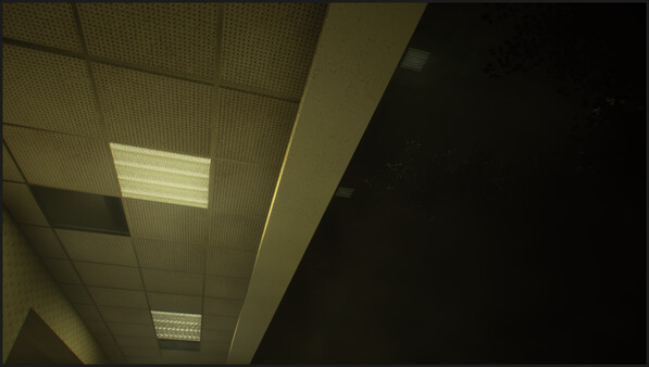 EXPEDITION TO THE BACKROOMS.