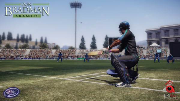 Don Bradman Cricket 14 Demo