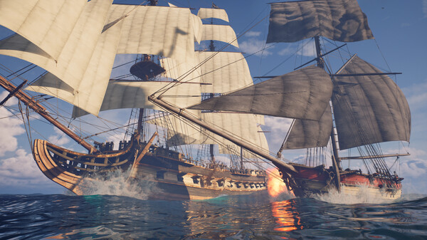 Thumbnail 14